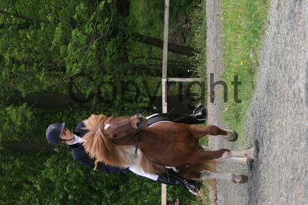 IMG_1125