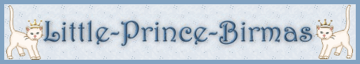 hier klicken: www.little-prince-birma.de