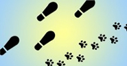 hier klicken: www.hundepartner.com
