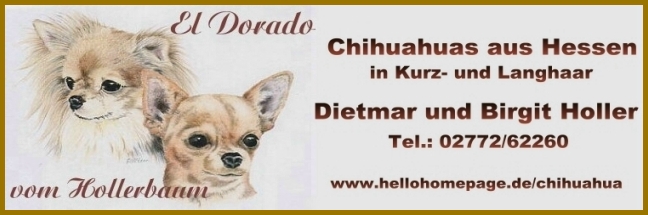 hier klicken: www.hellohomepage.de/chihuahua