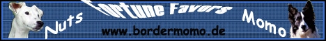 hier klicken: www.bordermomo.de
